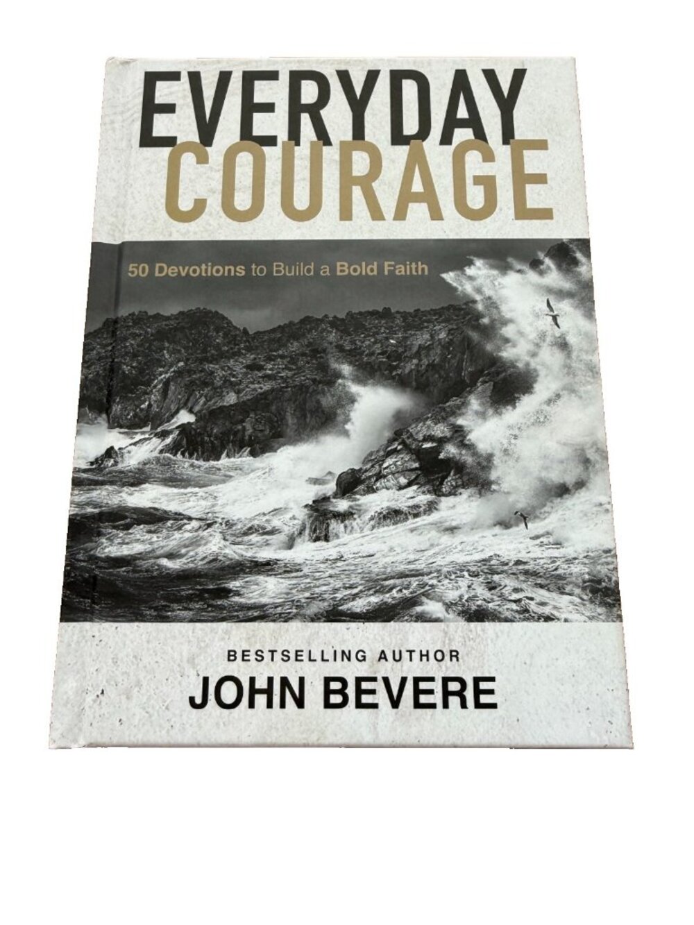 Everyday Courage: 50 Devotions to Build a Bold Faith John Bevere Hardcover